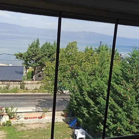 Goelyaka *