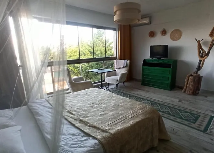 Frühstückspension Goelyaka 3*